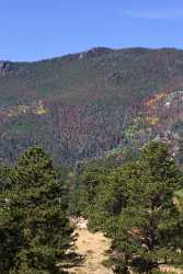 Rocky Mountain National Park Navy Hill Road Colorado Royalty Free Stock Images Town Shore - 005743 - 25-09-2010 - 4203x9921 Pixel Rocky Mountain National Park Navy Hill Road Colorado Royalty Free Stock Images Town Shore Western Art Prints For Sale Fine Art Posters Shoreline Animal Fine Art...