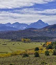 Ridgway Country Road Autumn Mount Sneffels San Juan Flower Photo Fine Art Fine Art Photography - 012173 - 06-10-2012 - 7243x8450 Pixel Ridgway Country Road Autumn Mount Sneffels San Juan Flower Photo Fine Art Fine Art Photography Landscape Photography Island Modern Wall Art Fine Art Landscape...