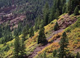 Sawpit Colorado Landscape Autumn Color Fall Foliage Leaves Sale Pass Stock Images Art Prints - 007784 - 16-09-2010 - 8501x6222 Pixel Sawpit Colorado Landscape Autumn Color Fall Foliage Leaves Sale Pass Stock Images Art Prints Fine Art Fine Art Foto Fog Leave Shore Landscape Photography Photo...