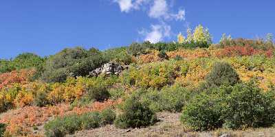 Sawpit Silver Pick Road Colorado Landscape Autumn Color Fine Art Photo View Point - 007792 - 16-09-2010 - 10347x4190 Pixel Sawpit Silver Pick Road Colorado Landscape Autumn Color Fine Art Photo View Point Fine Art Photographer Art Photography Gallery Rock Fine Art Photography...