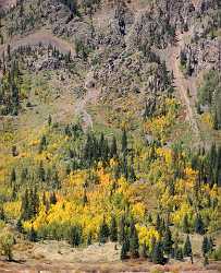 Silverton Country Road Fine Art Colorado Landscape Autumn Color Barn Fine Art Landscape Photography - 008263 - 19-09-2010 - 6078x7487 Pixel Silverton Country Road Fine Art Colorado Landscape Autumn Color Barn Fine Art Landscape Photography Coast Stock Island Fine Art Landscapes Nature Art Printing...