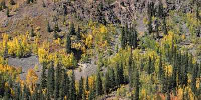 Silverton Animas Forks Road Colorado Landscape Autumn Color Fine Art Photography Galleries Mountain - 008272 - 19-09-2010 - 14871x3785 Pixel Silverton Animas Forks Road Colorado Landscape Autumn Color Fine Art Photography Galleries Mountain Fog Fine Art Pictures Fine Art Photography Gallery Hi...