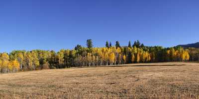 Snowmass Village Owl Creek Road Colorado Landscape Autumn Fog Image Stock Fine Art Photographers - 006585 - 28-09-2010 - 8849x4180 Pixel Snowmass Village Owl Creek Road Colorado Landscape Autumn Fog Image Stock Fine Art Photographers Fine Art Photo Town Photo Fine Art Animal Order Barn Royalty...