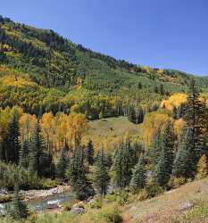 Telluride Country Road Royalty Free Stock Images Colorado Landscape Autumn Color Images Photography - 008096 - 18-09-2010 - 6415x6889 Pixel Telluride Country Road Royalty Free Stock Images Colorado Landscape Autumn Color Images Photography Forest Prints For Sale Fine Art Photographer Fine Art Photo...