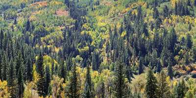 Telluride Colorado Landscape Autumn Color Fall Foliage Leaves Prints For Sale Ice Shore - 008109 - 18-09-2010 - 10972x4105 Pixel Telluride Colorado Landscape Autumn Color Fall Foliage Leaves Prints For Sale Ice Shore Fine Art Printing Image Stock Fine Art Landscape Lake Fine Art Prints...