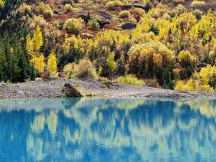 Telluride