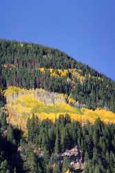 Vail Colorado Landscape Autumn Color Fall Foliage Leaves Modern Art Print Fine Art Photographers - 005796 - 26-09-2010 - 4222x8967 Pixel Vail Colorado Landscape Autumn Color Fall Foliage Leaves Modern Art Print Fine Art Photographers Island Spring Country Road Images Fine Art Photography Prints...