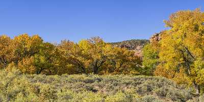 Whitewater Gibbler Gulch Cottonwood Tree Colorado Autumn Fall Shoreline Beach Art Printing - 022035 - 15-10-2017 - 19335x7679 Pixel Whitewater Gibbler Gulch Cottonwood Tree Colorado Autumn Fall Shoreline Beach Art Printing Fine Art Photographer Leave Prints Cloud Landscape Photography Color...