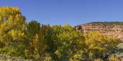 Whitewater Gibbler Gulch Cottonwood Tree Colorado Autumn Fall Shore Art Prints Fine Art Landscapes - 022036 - 15-10-2017 - 24316x7673 Pixel Whitewater Gibbler Gulch Cottonwood Tree Colorado Autumn Fall Shore Art Prints Fine Art Landscapes Fine Art Photography Gallery Art Photography Gallery Creek...