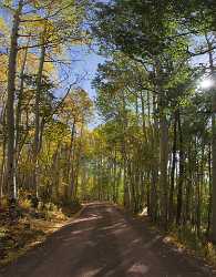 Yampa Country Road Park Colorado Landscape Autumn Color Leave Stock Pictures - 008394 - 21-09-2010 - 4363x5600 Pixel Yampa Country Road Park Colorado Landscape Autumn Color Leave Stock Pictures Photography Prints For Sale Stock Photos Photo Fine Art Fine Art Giclee Printing...