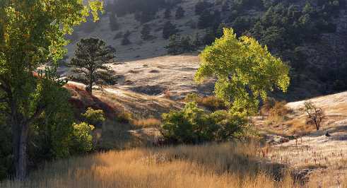 Altona Altona - Panoramic - Landscape - Photography - Photo - Print - Nature - Stock Photos - Images - Fine Art Prints - Sale -...