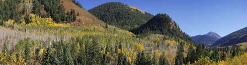 Aspen Aspen - Panoramic - Landscape - Photography - Photo - Print - Nature - Stock Photos - Images - Fine Art Prints - Sale -...