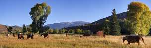 Basalt Basalt - Panoramic - Landscape - Photography - Photo - Print - Nature - Stock Photos - Images - Fine Art Prints - Sale -...