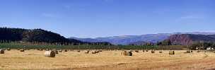 Carbondale Carbondale - Panoramic - Landscape - Photography - Photo - Print - Nature - Stock Photos - Images - Fine Art Prints -...