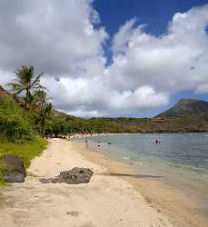 Hanauma Bay Beach Park Oahu Hawaii Palmtree Tropical Winter Fine Art Printing Barn Nature - 010183 - 26-10-2011 - 5116x5582 Pixel Hanauma Bay Beach Park Oahu Hawaii Palmtree Tropical Winter Fine Art Printing Barn Nature Royalty Free Stock Photos What Is Fine Art Photography Modern Art...