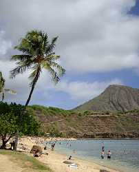 Hanauma Bay Beach Park Oahu Hawaii Palmtree Tropical What Is Fine Art Photography Winter - 010184 - 26-10-2011 - 4920x6088 Pixel Hanauma Bay Beach Park Oahu Hawaii Palmtree Tropical What Is Fine Art Photography Winter Fine Art Photography Galleries Grass Ice Photography Fine Art Printer...