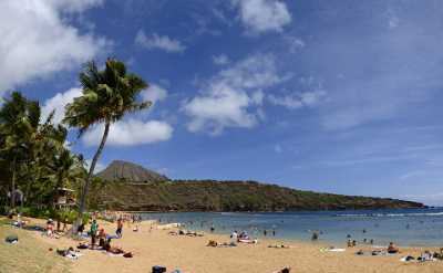 Hanauma Bay Beach Park Oahu Hawaii Palmtree Tropical Autumn Fine Art Photography Gallery - 010189 - 26-10-2011 - 8170x5053 Pixel Hanauma Bay Beach Park Oahu Hawaii Palmtree Tropical Autumn Fine Art Photography Gallery Fine Art Landscapes Cloud Rain Modern Wall Art Forest Fine Art Photos...