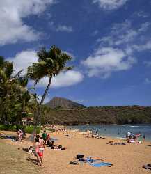 Hanauma Bay Beach Park Oahu Hawaii Palmtree Tropical Coast Ice Summer Fine Art Prints For Sale Tree - 010190 - 26-10-2011 - 5159x5944 Pixel Hanauma Bay Beach Park Oahu Hawaii Palmtree Tropical Coast Ice Summer Fine Art Prints For Sale Tree Fine Art Photography Pass Forest Stock Fine Art Nature...