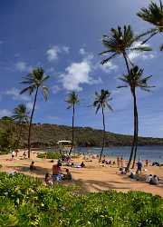 Hanauma Bay Beach Park Oahu Hawaii Palmtree Tropical Barn Fine Art Rain Modern Wall Art - 010196 - 26-10-2011 - 5147x7142 Pixel Hanauma Bay Beach Park Oahu Hawaii Palmtree Tropical Barn Fine Art Rain Modern Wall Art Prints For Sale Flower Sea Art Prints For Sale City Photo Fine Art...