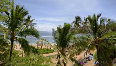 Hanauma Bay Beach Park Oahu Hawaii Palmtree Tropical Senic Leave Sky Flower - 010198 - 26-10-2011 - 7149x4131 Pixel Hanauma Bay Beach Park Oahu Hawaii Palmtree Tropical Senic Leave Sky Flower Art Photography For Sale Photo Fine Art Fine Art Nature Photography Fine Art...