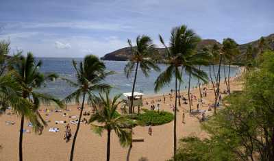 Hanauma Bay Beach Park Oahu Hawaii Palmtree Tropical Island Fine Art Photography Gallery - 010199 - 26-10-2011 - 8398x4941 Pixel Hanauma Bay Beach Park Oahu Hawaii Palmtree Tropical Island Fine Art Photography Gallery Royalty Free Stock Photos Spring Fine Art Photo City Rock Prints For...