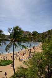 Hanauma Bay Beach Park Oahu Hawaii Palmtree Tropical Landscape Fine Art Landscapes - 010200 - 26-10-2011 - 4758x7222 Pixel Hanauma Bay Beach Park Oahu Hawaii Palmtree Tropical Landscape Fine Art Landscapes Fine Art Photography For Sale Fog View Point What Is Fine Art Photography...