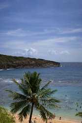 Hanauma Bay Beach Park Oahu Hawaii Palmtree Tropical Fine Art Photos Forest Fine Arts Color - 010201 - 26-10-2011 - 4786x9050 Pixel Hanauma Bay Beach Park Oahu Hawaii Palmtree Tropical Fine Art Photos Forest Fine Arts Color View Point Fine Art Prints Sale Rock Barn Snow Photo Fine Art...