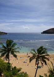 Hanauma Bay Beach Park Oahu Hawaii Palmtree Tropical River Fine Arts Sale - 010202 - 26-10-2011 - 4948x7108 Pixel Hanauma Bay Beach Park Oahu Hawaii Palmtree Tropical River Fine Arts Sale Famous Fine Art Photographers Town Senic City Royalty Free Stock Images Fine Art...