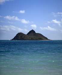 Kailua Beach Park Oahu Hawaii Shore Sand Ocean Animal Fine Art Prints For Sale Summer Flower - 009998 - 24-10-2011 - 4632x5608 Pixel Kailua Beach Park Oahu Hawaii Shore Sand Ocean Animal Fine Art Prints For Sale Summer Flower Fine Art Photography Spring Photo Fine Art Sea Western Art Prints...