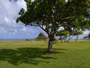 Kualoa Beach Park