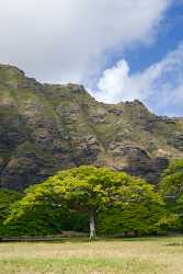 Kualoa Oahu Hawaii Beach Park Ocean Sky Cloud Sunshine View Point Art Prints For Sale - 009560 - 16-10-2011 - 4913x8143 Pixel Kualoa Oahu Hawaii Beach Park Ocean Sky Cloud Sunshine View Point Art Prints For Sale Modern Wall Art Fine Art Fotografie Fine Arts Fine Art Photographers Fine...