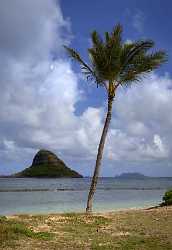 Kualoa Oahu Hawaii Beach Park Ocean Sky Cloud Landscape Fine Art Landscapes Rain Modern Art Print - 010237 - 26-10-2011 - 4795x6976 Pixel Kualoa Oahu Hawaii Beach Park Ocean Sky Cloud Landscape Fine Art Landscapes Rain Modern Art Print Senic Photography Fine Art Nature Photography Sunshine Fine...