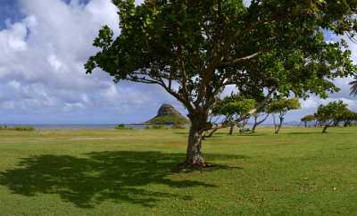 Kualoa Oahu Hawaii Beach Park Ocean Sky Cloud Fine Art Fotografie Pass Coast Nature City - 010240 - 26-10-2011 - 7850x4753 Pixel Kualoa Oahu Hawaii Beach Park Ocean Sky Cloud Fine Art Fotografie Pass Coast Nature City Fine Art Landscape Photography Leave Shoreline Stock Fine Art Printer...