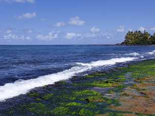 Puaena Point Beach Park