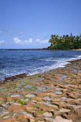 Puaena Point Beach Park North Shore Hawaii Surfing Cloud Fine Art Photography Animal - 010628 - 22-10-2011 - 4220x7339 Pixel Puaena Point Beach Park North Shore Hawaii Surfing Cloud Fine Art Photography Animal Fine Art Landscapes Landscape Stock Panoramic Island Image Stock Lake Stock...