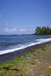 Puaena Point Beach Park North Shore Hawaii Surfing Mountain Royalty Free Stock Photos Lake - 010631 - 22-10-2011 - 4134x7730 Pixel Puaena Point Beach Park North Shore Hawaii Surfing Mountain Royalty Free Stock Photos Lake Fine Art Fotografie Fine Art Photography For Sale Images Tree Color...