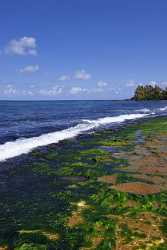 Puaena Point Beach Park North Shore Hawaii Surfing Fine Art Posters - 010634 - 22-10-2011 - 4231x7178 Pixel Puaena Point Beach Park North Shore Hawaii Surfing Fine Art Posters Fine Art Photography Prints For Sale Fine Art Photography Gallery What Is Fine Art...