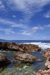 Pupukea North Shore Oahu Hawaii Beach Park Ocean Fine Arts Photography Stock Fine Art Flower Leave - 010668 - 28-10-2011 - 4115x7365 Pixel Pupukea North Shore Oahu Hawaii Beach Park Ocean Fine Arts Photography Stock Fine Art Flower Leave Senic Hi Resolution Grass Animal Fine Art Photography Prints...