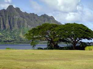 Waiahole Beach Park