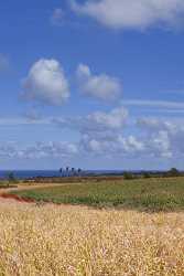 Waialua Sugar Cane Plantation Noth Shore Hawaii Ocean Fine Arts Park Fine Art Photography Sky Ice - 010664 - 28-10-2011 - 4173x7092 Pixel Waialua Sugar Cane Plantation Noth Shore Hawaii Ocean Fine Arts Park Fine Art Photography Sky Ice Art Prints For Sale Modern Art Prints Sunshine Modern Art...