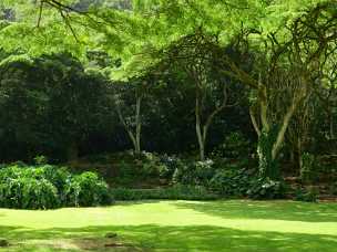 Waimea Falls Park