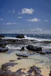 Wawamalu Beach Park Koko Head Oahu Hawaii Big Stock Fine Art Photography Prints - 009793 - 20-10-2011 - 4843x7402 Pixel Wawamalu Beach Park Koko Head Oahu Hawaii Big Stock Fine Art Photography Prints Fine Art Photography Galleries Grass Fine Art Printing Fine Arts Photography...