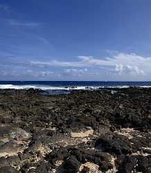 Wawamalu Beach Park Koko Head Oahu Hawaii Big Western Art Prints For Sale Coast - 010034 - 24-10-2011 - 4455x5113 Pixel Wawamalu Beach Park Koko Head Oahu Hawaii Big Western Art Prints For Sale Coast Fine Art Nature Photography Photography Stock Photos Fine Art Photographers...