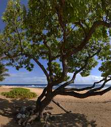 Wawamalu Beach Park Koko Head Oahu Hawaii Big Flower Snow Landscape Fine Art Rain Prints For Sale - 010038 - 24-10-2011 - 7865x8982 Pixel Wawamalu Beach Park Koko Head Oahu Hawaii Big Flower Snow Landscape Fine Art Rain Prints For Sale Fine Art Photo Western Art Prints For Sale Fine Art Landscape...