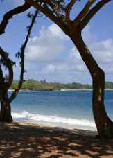 Kokoloilo Beach Park Kokoloilo Beach Park - Panoramic - Landscape - Photography - Photo - Print - Nature - Stock Photos - Images - Fine Art...