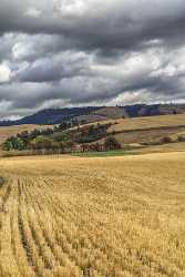 Culdesac Idaho Farm Land Tree Grass Autumn Country Senic Fine Art Photography Galleries Sale - 022306 - 08-10-2017 - 7586x11942 Pixel Culdesac Idaho Farm Land Tree Grass Autumn Country Senic Fine Art Photography Galleries Sale Fine Art Photo Images View Point Fine Art Fotografie Art...