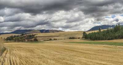 Culdesac Idaho Farm Land Tree Grass Autumn Country Stock Image Stock Fine Art Printing Stock Photos - 022307 - 08-10-2017 - 18443x9759 Pixel Culdesac Idaho Farm Land Tree Grass Autumn Country Stock Image Stock Fine Art Printing Stock Photos Fine Arts Photography Beach Creek Photo Fine Art Fine Art...