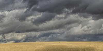 Fenn Idaho Farm Land Grass Autumn Country Site Art Photography Gallery Art Printing Park Panoramic - 022302 - 08-10-2017 - 18699x7371 Pixel Fenn Idaho Farm Land Grass Autumn Country Site Art Photography Gallery Art Printing Park Panoramic Sunshine Fine Art Printer Photography Mountain Leave Photo...