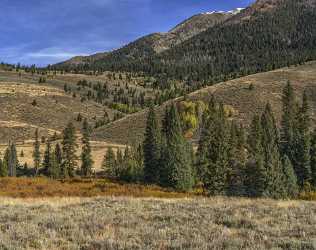 Galena Idaho Easley Peak Cathedral Pines Forest Mountain Image Stock Stock Creek Snow - 022220 - 10-10-2017 - 13088x10341 Pixel Galena Idaho Easley Peak Cathedral Pines Forest Mountain Image Stock Stock Creek Snow Fine Arts Photography Stock Pictures Fine Art Photographer Fine Art Giclee...