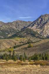 Galena Idaho Easley Peak Cathedral Pines Forest Mountain Summer Art Photography Gallery Sea - 022221 - 10-10-2017 - 7657x12404 Pixel Galena Idaho Easley Peak Cathedral Pines Forest Mountain Summer Art Photography Gallery Sea Prints For Sale Flower Town Fine Art Photography Galleries Fine Art...